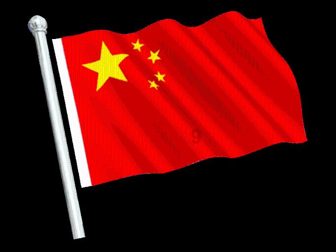 小艾比当营养师